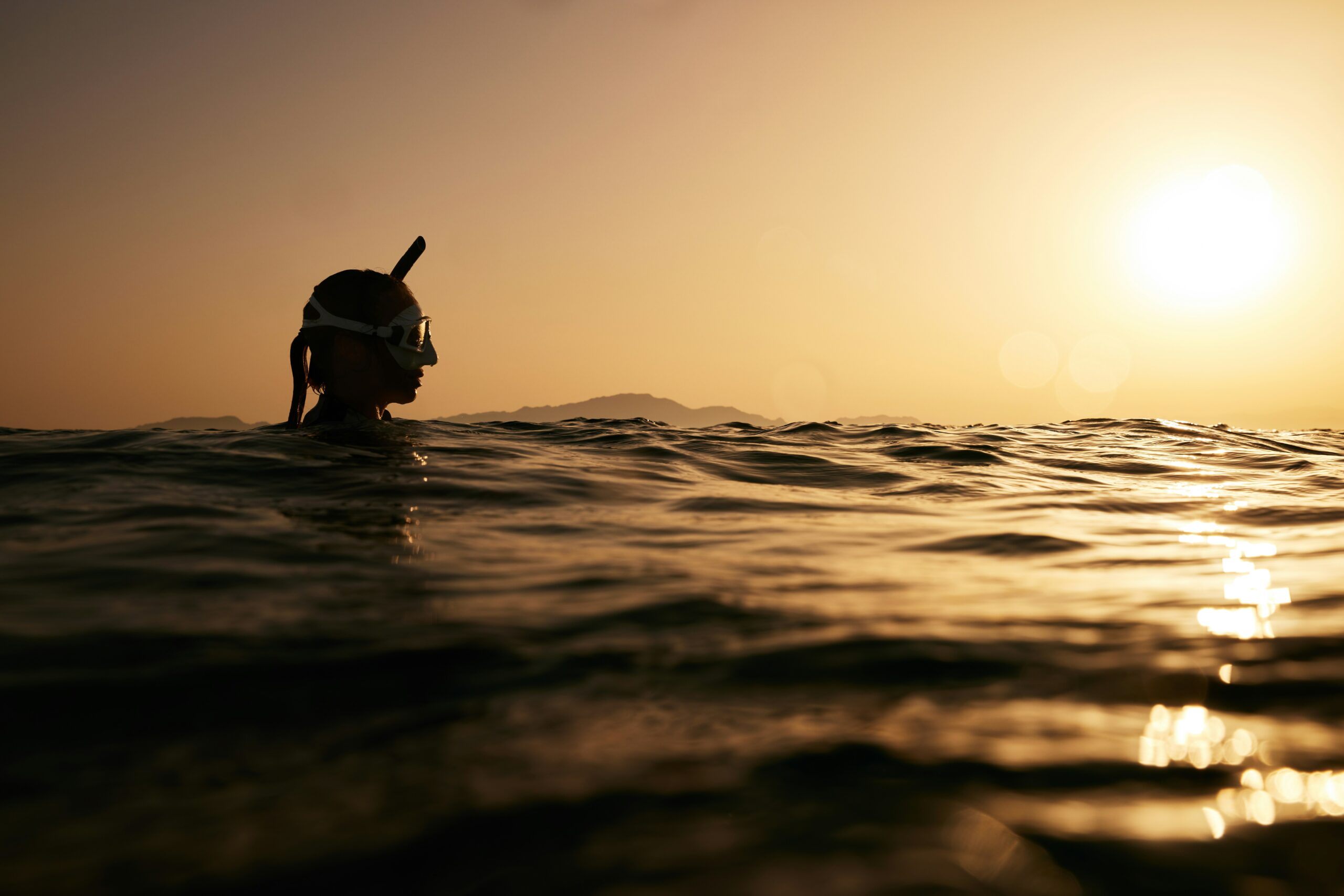 Sunset Diving