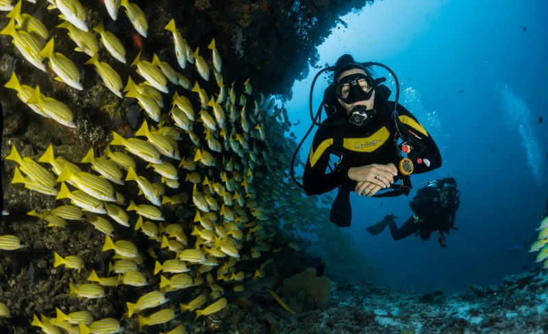 PADI Instructor