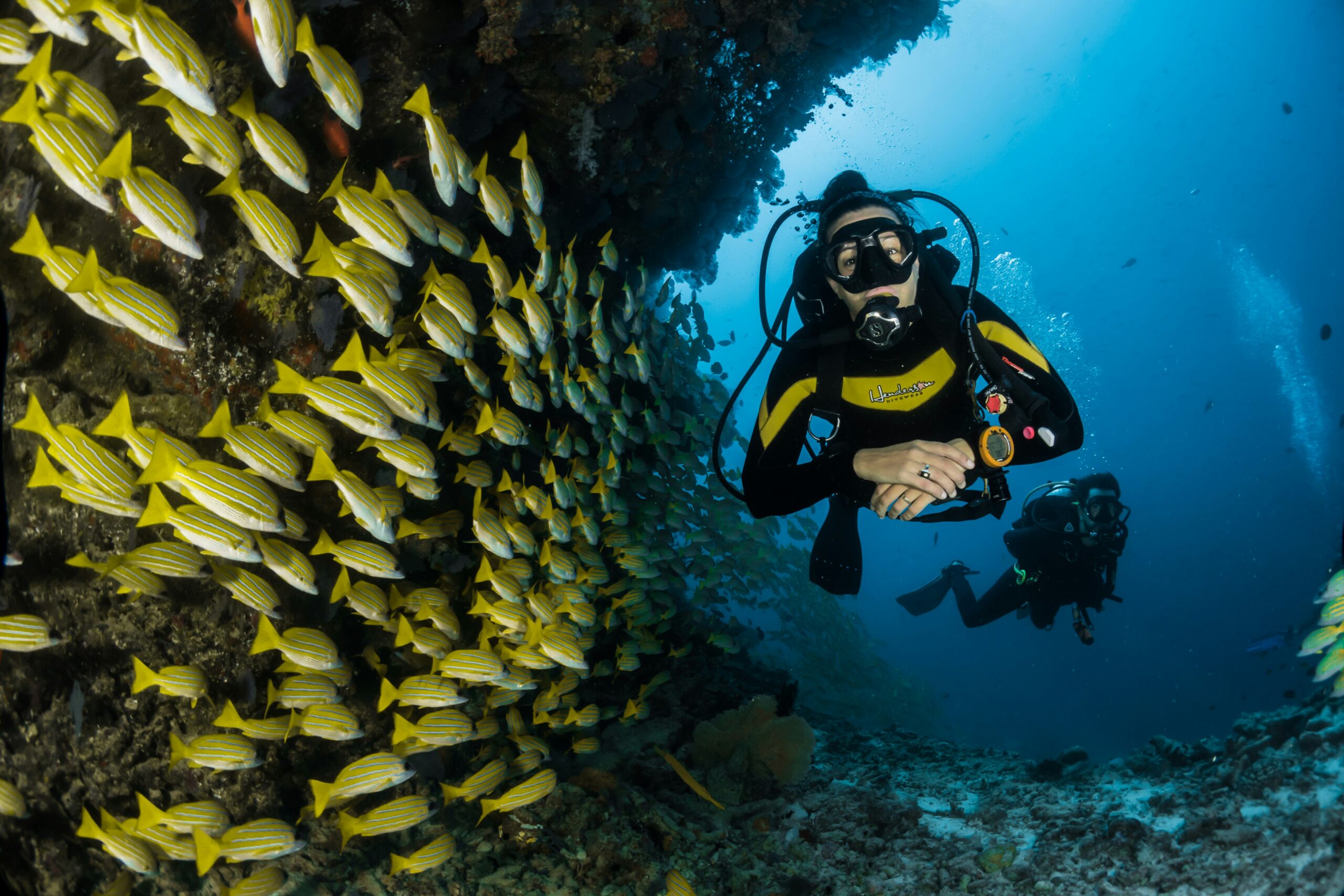 PADI Instructor